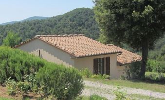 Tenuta Seripa