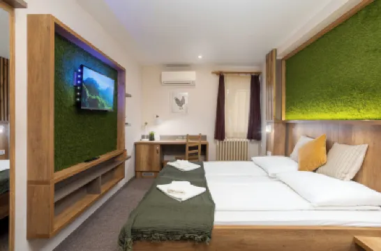 Bauer Resort Countryside Retreat Hotels in 