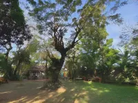Rio Vista Bed and Breakfast Hotels in Dagupan