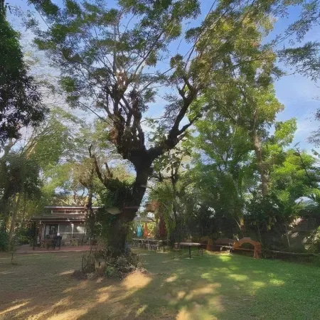 Rio Vista Bed and Breakfast