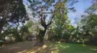 Rio Vista Bed and Breakfast