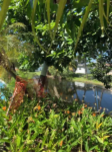 Cheerful and cozy 1 bedroom efficiency. Private