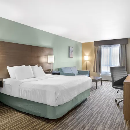 Best Western Plus Dartmouth Hotel  Suites