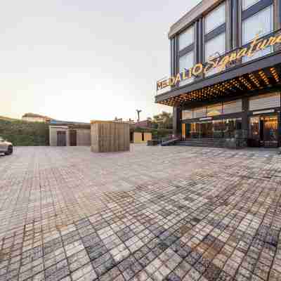Medalio Signature Chandigarh Zirakpur Hotel Exterior