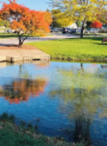Walk to Elk Rapids.Close to Traverse & Charlevoix