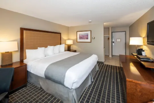 Clarion Pointe Hotels in 