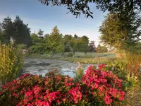 Cottage in Cotswolds With Private Pool Access Hotels in Kingham