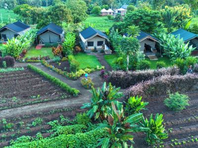Kibo View Farm Lodge