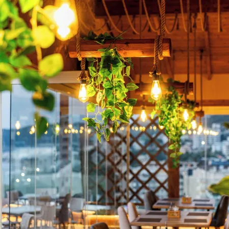 Hotel Aliko