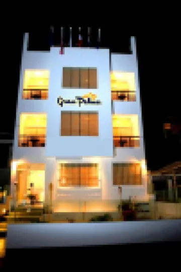 格蘭帕爾馬酒店-帕拉卡斯 酒店
