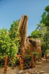Isla Corona Hotels in 