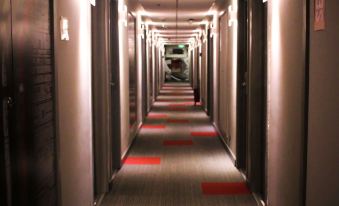 Ibis Asuncion