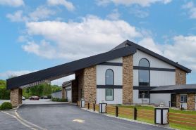 Best Western Indian Oak