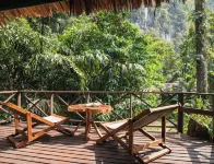 Our Jungle House