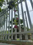 Nhà Homestay - Condos