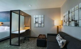 SpringHill Suites by Marriott Austin North