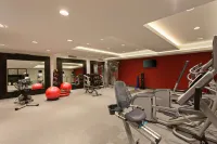 Hilton Garden Inn Irvine/Orange County Airport - palestra