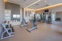 Courtyard Chihuahua - Gym