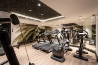 voco STRASBOURG CENTRE - THE GARDEN by IHG - Gym