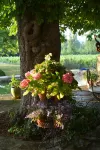 B&b Guest House "Domaine le Clos du Pavillon" Provence
