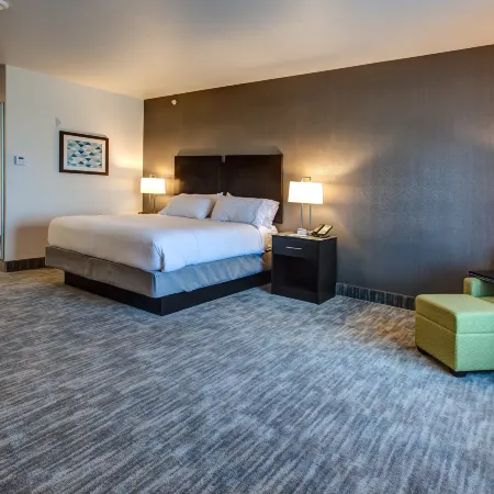 Holiday Inn Express & Suites GATESVILLE - N. FT HOOD by IHG