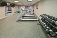 Holiday Inn Express & Suites JACKSON/PEARL INTL AIRPORT by IHG - Gym