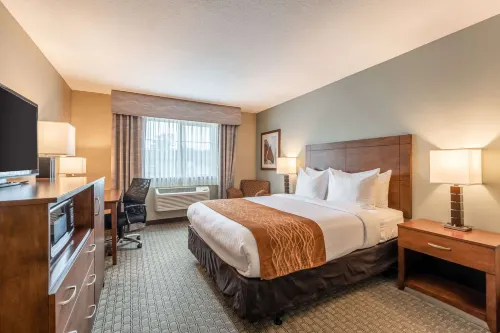 Comfort Inn & Suites - 2-Star