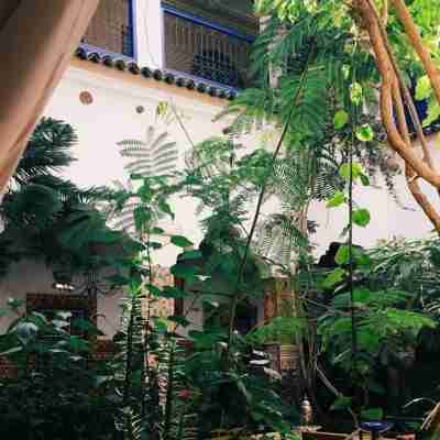 Riad Maryam Taroudant Hotel Exterior