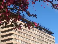 Universitetskaya Hotel Hotel in zona FSB Academy