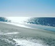 Winstead Beach Resort - View biển