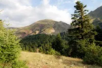 阿內拉達旅館精品飯店