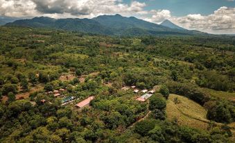 Hotel Heliconias Nature Inn & Hot Springs