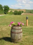 Agriturismo Il Poderino - 4-Star
