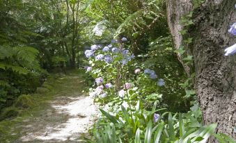 Lotus Lodges