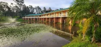 Golf Club Motor Inn Wingham فنادق في Wingham
