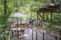 Rio Perdido Hotel & Thermal River