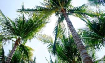 Punta Arena Surf Suites
