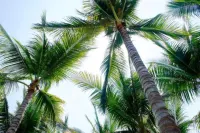 Punta Arena Surf Suites