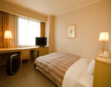 Ark Hotel Royal Fukuoka Tenjin -Route Inn Hotels-