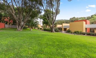 a lush green lawn with tall trees and bushes , providing a pleasant environment for landscaping at Hotel Rancho San Diego Grand Spa Resort