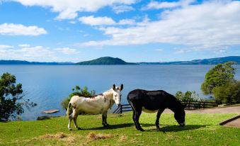 On the Point - Lake Rotorua