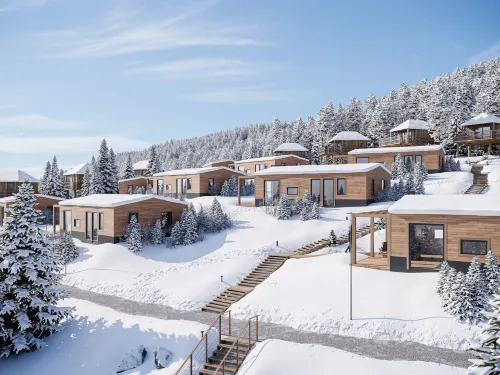 Premium Baumhaus Mit 1 Schlafzimmer - Homestays