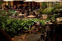 Embassy Suites by Hilton Lubbock - Kolam Renang