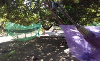 Eco-Camping Mango Feliz Rincon del Mar