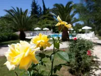 Hotel Milton Hotels in Roda