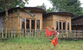 Sawah Ijen & Guest House Banyuwangi