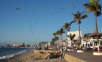 Suites Plaza del Rio - Family Hotel Malecon Centro