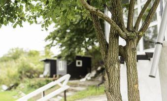 a tree with a twisted trunk is standing in front of a house with a black and white building behind it at Paradiset