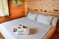 Yagorov Chalet فنادق في Kinnerot