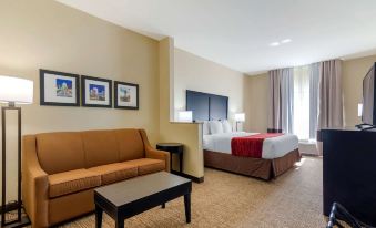 Comfort Inn & Suites Montgomery Eastchase